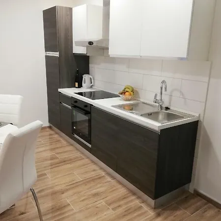 Mtv With Privatne Parking Apartment